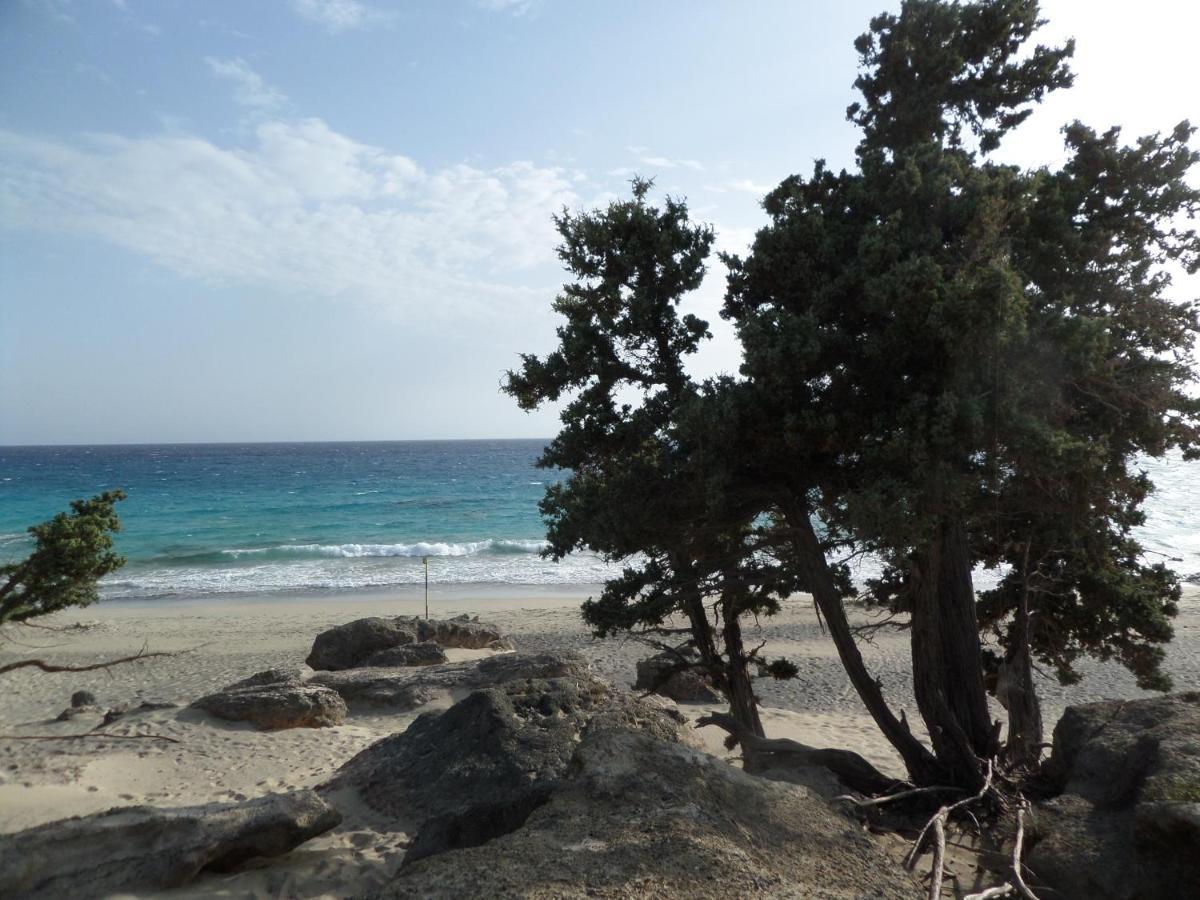 Endless Blue Villa Ravdhoukha Ngoại thất bức ảnh
